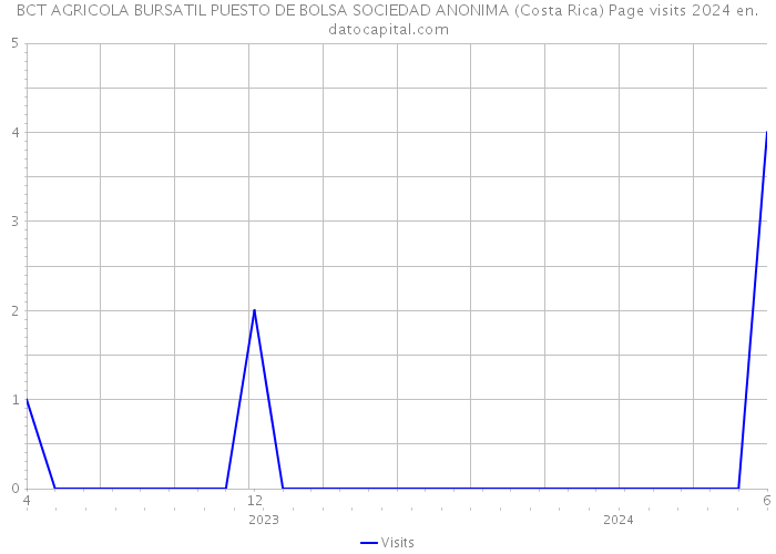 BCT AGRICOLA BURSATIL PUESTO DE BOLSA SOCIEDAD ANONIMA (Costa Rica) Page visits 2024 