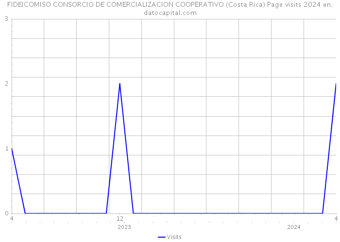 FIDEICOMISO CONSORCIO DE COMERCIALIZACION COOPERATIVO (Costa Rica) Page visits 2024 