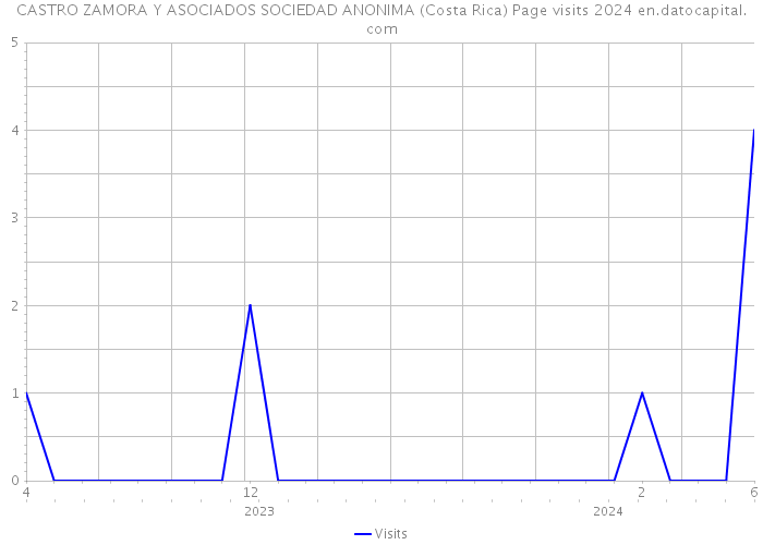 CASTRO ZAMORA Y ASOCIADOS SOCIEDAD ANONIMA (Costa Rica) Page visits 2024 