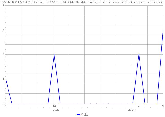INVERSIONES CAMPOS CASTRO SOCIEDAD ANONIMA (Costa Rica) Page visits 2024 