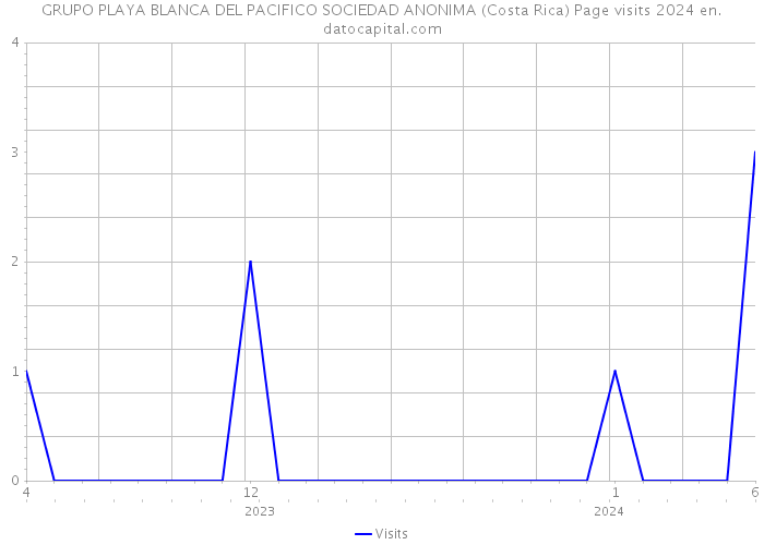 GRUPO PLAYA BLANCA DEL PACIFICO SOCIEDAD ANONIMA (Costa Rica) Page visits 2024 