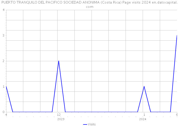 PUERTO TRANQUILO DEL PACIFICO SOCIEDAD ANONIMA (Costa Rica) Page visits 2024 