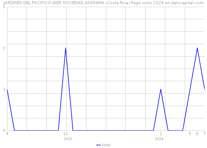 JARDINES DEL PACIFICO JAER SOCIEDAD ANONIMA (Costa Rica) Page visits 2024 