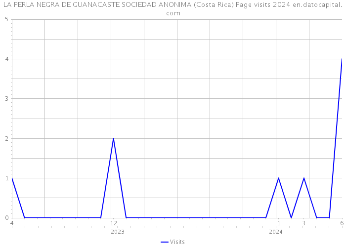 LA PERLA NEGRA DE GUANACASTE SOCIEDAD ANONIMA (Costa Rica) Page visits 2024 