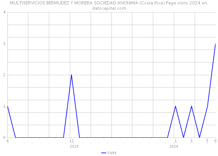 MULTISERVICIOS BERMUDEZ Y MORERA SOCIEDAD ANONIMA (Costa Rica) Page visits 2024 