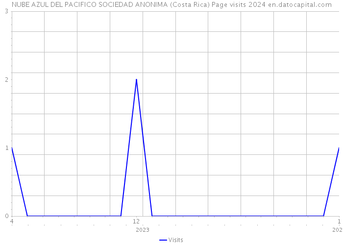 NUBE AZUL DEL PACIFICO SOCIEDAD ANONIMA (Costa Rica) Page visits 2024 