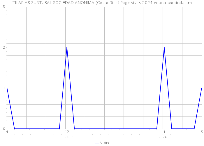TILAPIAS SURTUBAL SOCIEDAD ANONIMA (Costa Rica) Page visits 2024 