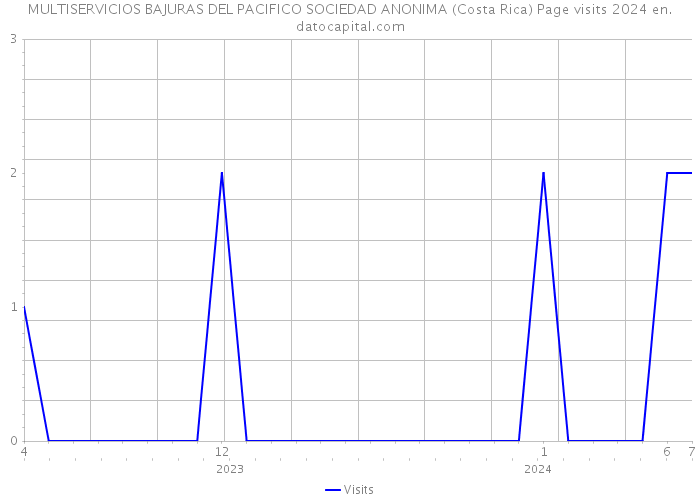 MULTISERVICIOS BAJURAS DEL PACIFICO SOCIEDAD ANONIMA (Costa Rica) Page visits 2024 