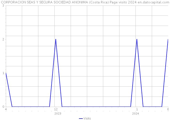 CORPORACION SEAS Y SEGURA SOCIEDAD ANONIMA (Costa Rica) Page visits 2024 