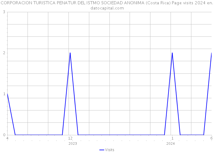 CORPORACION TURISTICA PENATUR DEL ISTMO SOCIEDAD ANONIMA (Costa Rica) Page visits 2024 