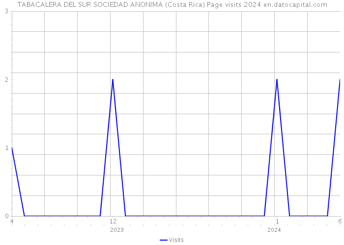TABACALERA DEL SUR SOCIEDAD ANONIMA (Costa Rica) Page visits 2024 