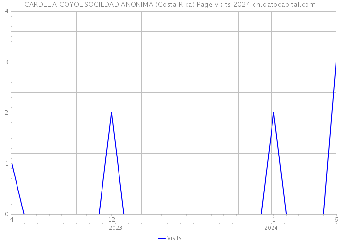 CARDELIA COYOL SOCIEDAD ANONIMA (Costa Rica) Page visits 2024 