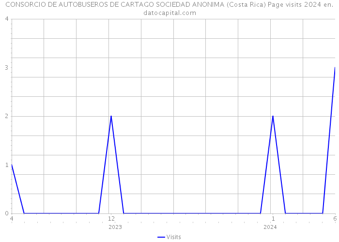 CONSORCIO DE AUTOBUSEROS DE CARTAGO SOCIEDAD ANONIMA (Costa Rica) Page visits 2024 