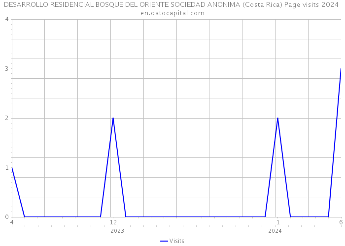 DESARROLLO RESIDENCIAL BOSQUE DEL ORIENTE SOCIEDAD ANONIMA (Costa Rica) Page visits 2024 