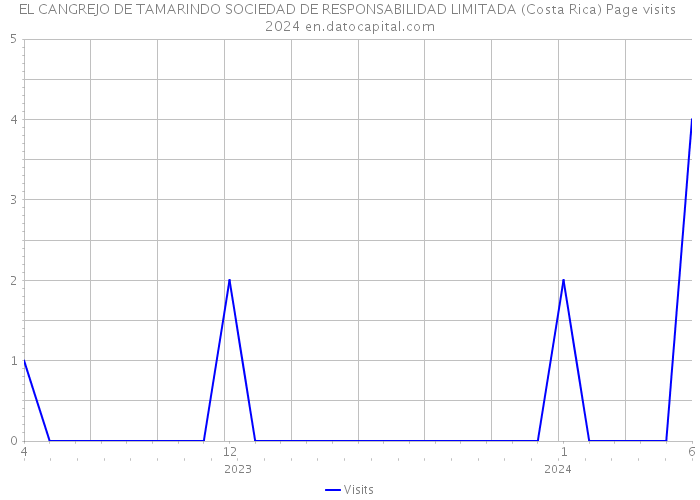 EL CANGREJO DE TAMARINDO SOCIEDAD DE RESPONSABILIDAD LIMITADA (Costa Rica) Page visits 2024 