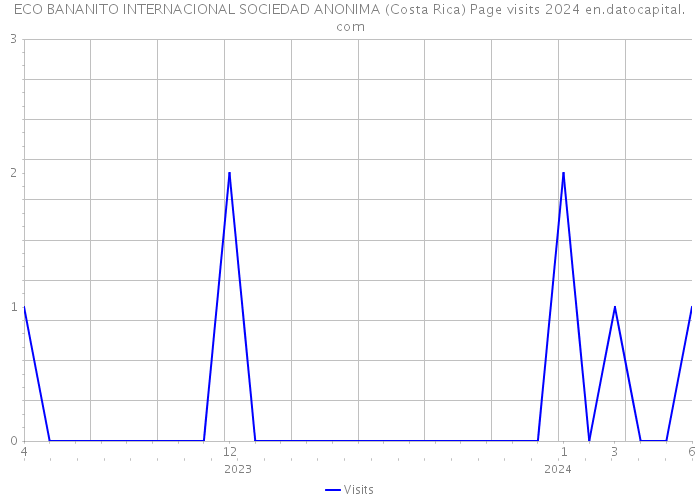 ECO BANANITO INTERNACIONAL SOCIEDAD ANONIMA (Costa Rica) Page visits 2024 