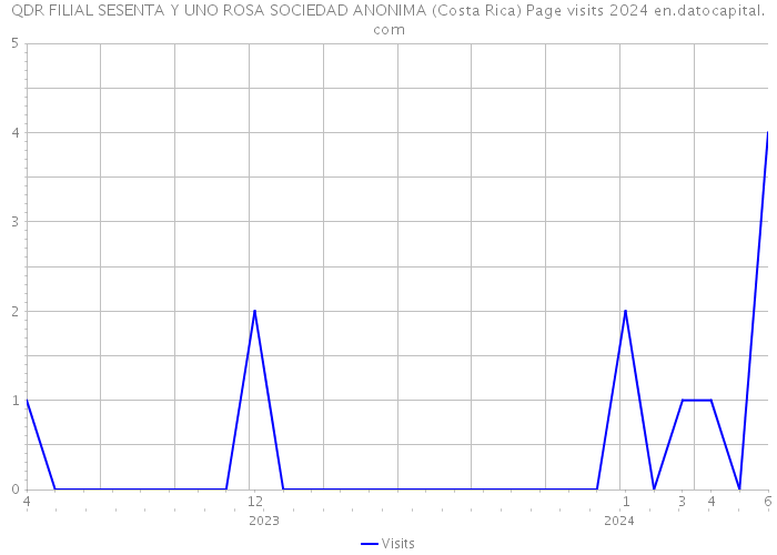 QDR FILIAL SESENTA Y UNO ROSA SOCIEDAD ANONIMA (Costa Rica) Page visits 2024 