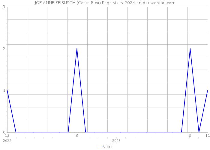 JOE ANNE FEIBUSCH (Costa Rica) Page visits 2024 