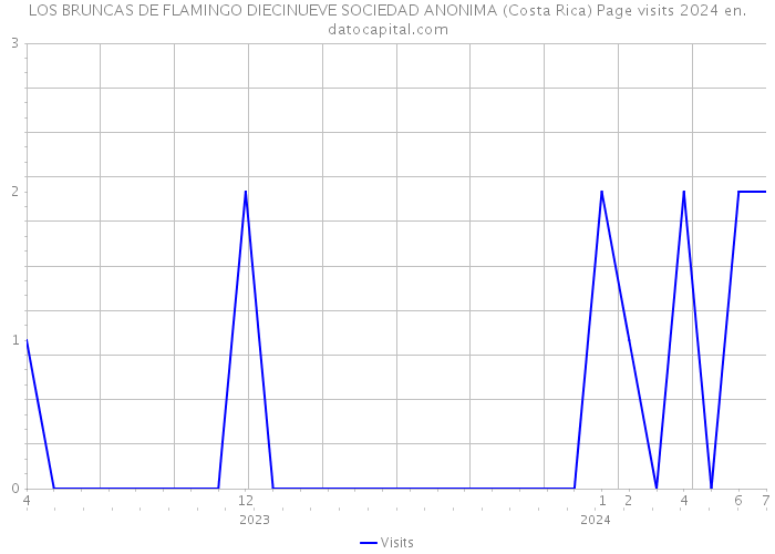 LOS BRUNCAS DE FLAMINGO DIECINUEVE SOCIEDAD ANONIMA (Costa Rica) Page visits 2024 