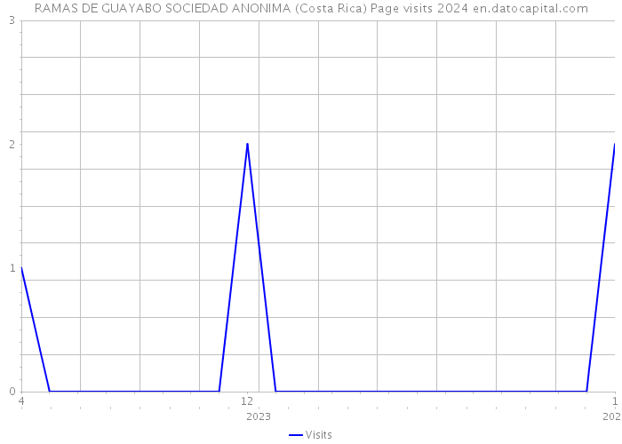 RAMAS DE GUAYABO SOCIEDAD ANONIMA (Costa Rica) Page visits 2024 