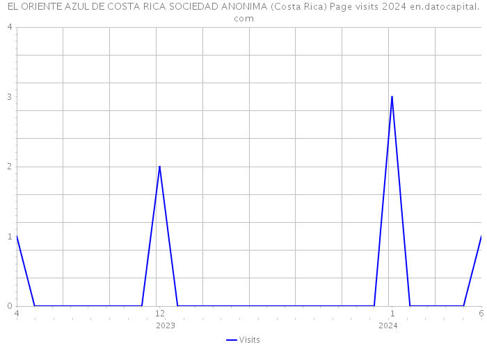 EL ORIENTE AZUL DE COSTA RICA SOCIEDAD ANONIMA (Costa Rica) Page visits 2024 