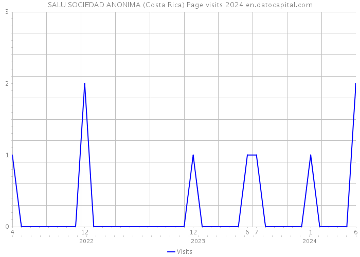 SALU SOCIEDAD ANONIMA (Costa Rica) Page visits 2024 