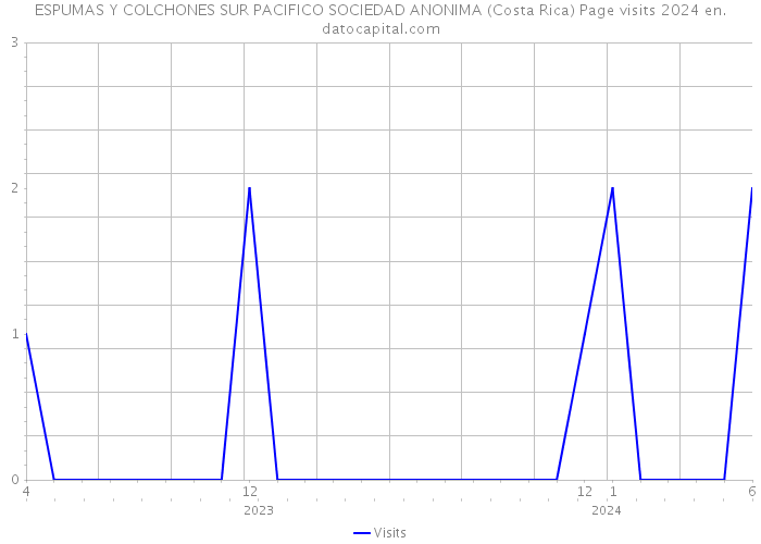 ESPUMAS Y COLCHONES SUR PACIFICO SOCIEDAD ANONIMA (Costa Rica) Page visits 2024 