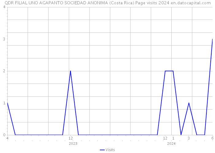 QDR FILIAL UNO AGAPANTO SOCIEDAD ANONIMA (Costa Rica) Page visits 2024 