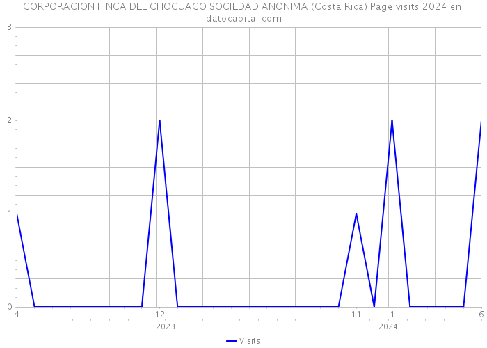 CORPORACION FINCA DEL CHOCUACO SOCIEDAD ANONIMA (Costa Rica) Page visits 2024 