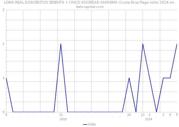 LOMA REAL DOSCIENTOS SESENTA Y CINCO SOCIEDAD ANONIMA (Costa Rica) Page visits 2024 