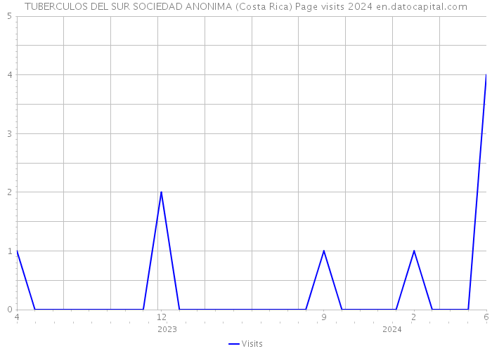TUBERCULOS DEL SUR SOCIEDAD ANONIMA (Costa Rica) Page visits 2024 