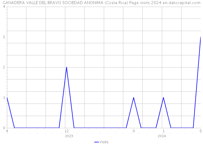 GANADERA VALLE DEL BRAVO SOCIEDAD ANONIMA (Costa Rica) Page visits 2024 