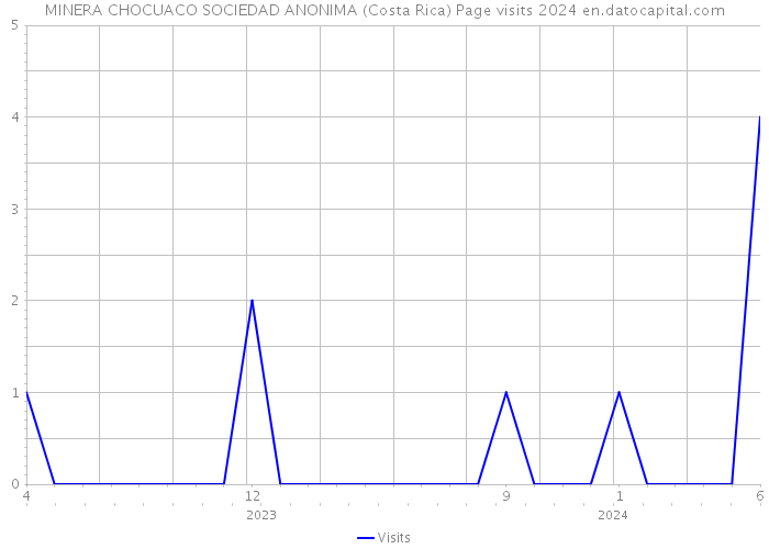 MINERA CHOCUACO SOCIEDAD ANONIMA (Costa Rica) Page visits 2024 