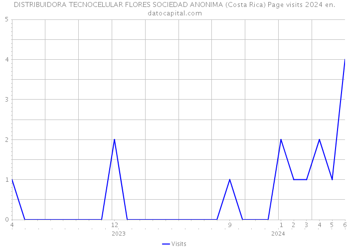 DISTRIBUIDORA TECNOCELULAR FLORES SOCIEDAD ANONIMA (Costa Rica) Page visits 2024 
