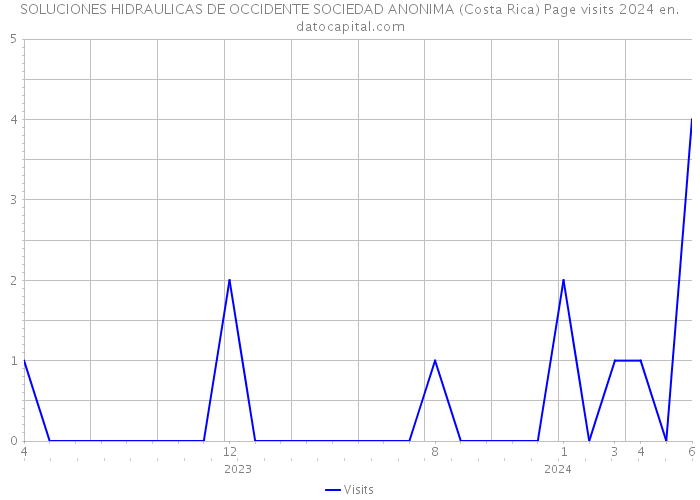 SOLUCIONES HIDRAULICAS DE OCCIDENTE SOCIEDAD ANONIMA (Costa Rica) Page visits 2024 