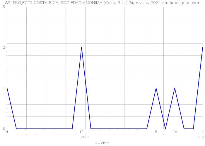 WSI PROJECTS COSTA RICA, SOCIEDAD ANONIMA (Costa Rica) Page visits 2024 
