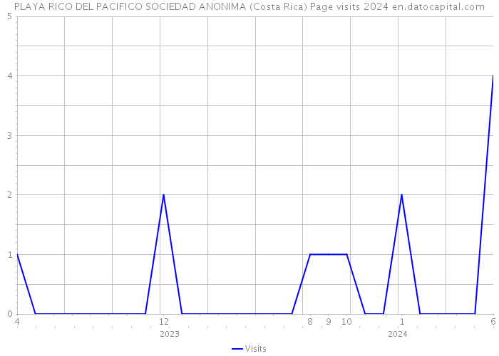 PLAYA RICO DEL PACIFICO SOCIEDAD ANONIMA (Costa Rica) Page visits 2024 