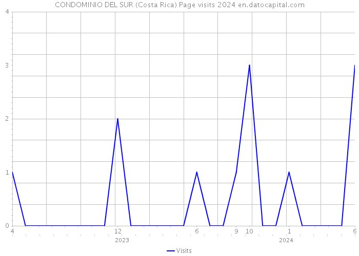 CONDOMINIO DEL SUR (Costa Rica) Page visits 2024 