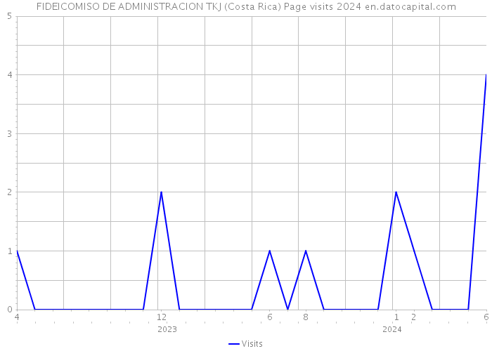 FIDEICOMISO DE ADMINISTRACION TKJ (Costa Rica) Page visits 2024 