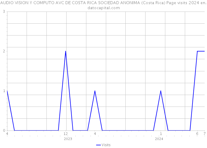 AUDIO VISION Y COMPUTO AVC DE COSTA RICA SOCIEDAD ANONIMA (Costa Rica) Page visits 2024 