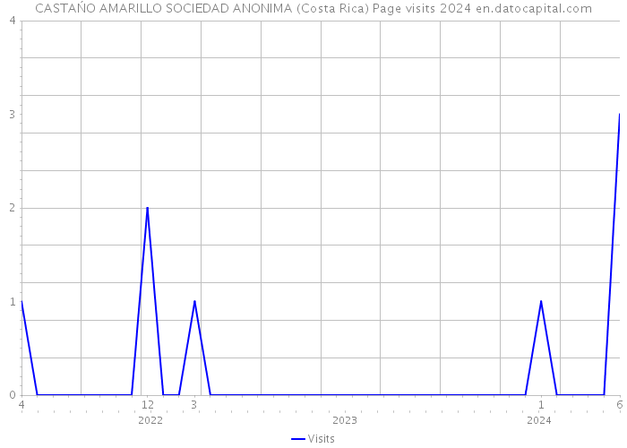 CASTAŃO AMARILLO SOCIEDAD ANONIMA (Costa Rica) Page visits 2024 
