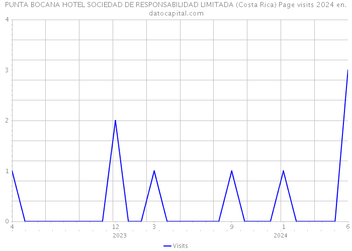 PUNTA BOCANA HOTEL SOCIEDAD DE RESPONSABILIDAD LIMITADA (Costa Rica) Page visits 2024 