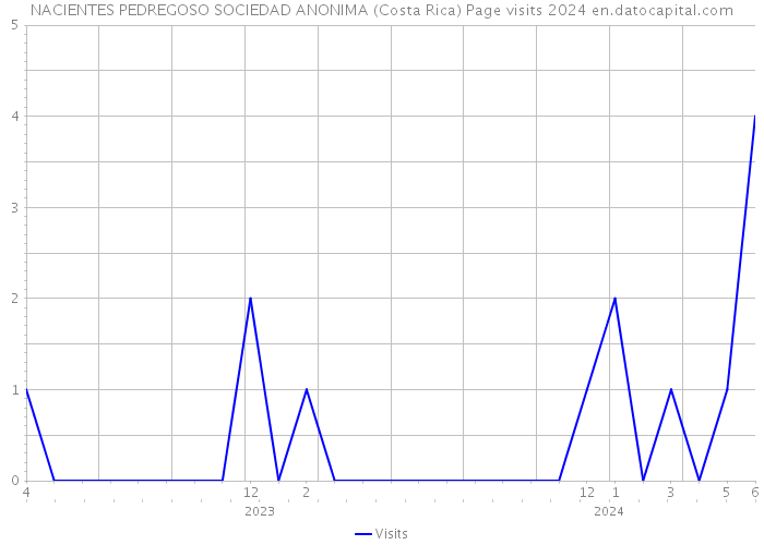 NACIENTES PEDREGOSO SOCIEDAD ANONIMA (Costa Rica) Page visits 2024 