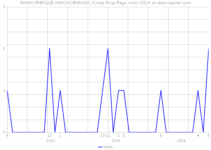 MARIO ENRIQUE VARGAS BARGUIL (Costa Rica) Page visits 2024 