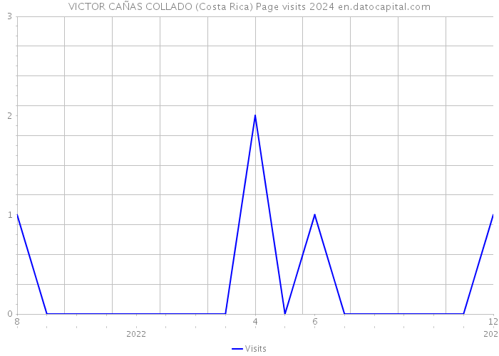 VICTOR CAÑAS COLLADO (Costa Rica) Page visits 2024 