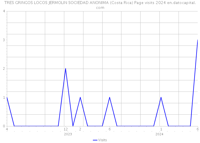 TRES GRINGOS LOCOS JERMOLIN SOCIEDAD ANONIMA (Costa Rica) Page visits 2024 