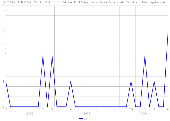 SKY SOLUTIONS COSTA RICA SOCIEDAD ANONIMA (Costa Rica) Page visits 2024 