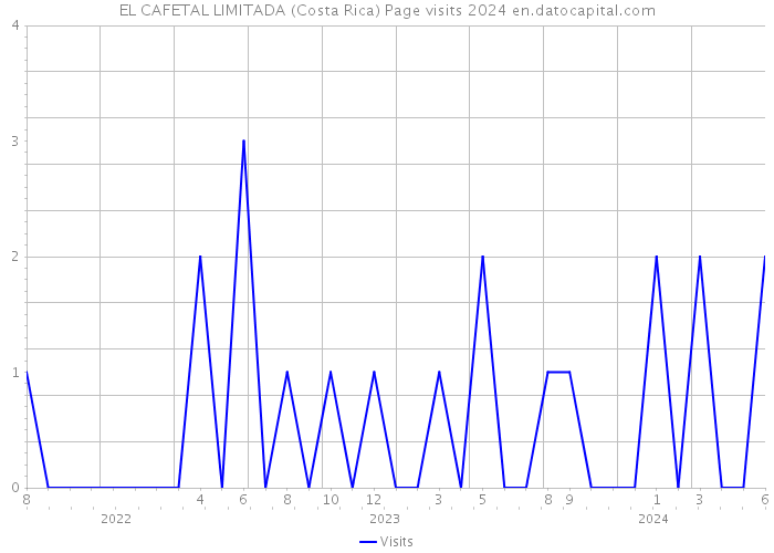 EL CAFETAL LIMITADA (Costa Rica) Page visits 2024 