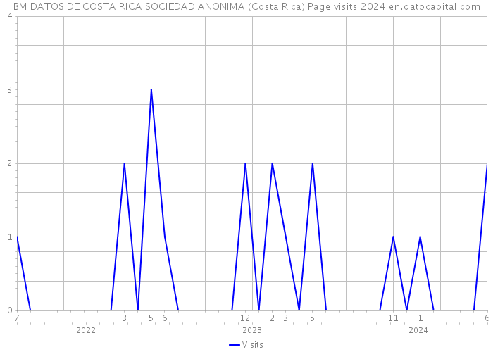 BM DATOS DE COSTA RICA SOCIEDAD ANONIMA (Costa Rica) Page visits 2024 