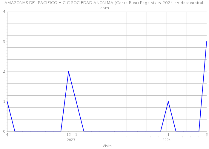 AMAZONAS DEL PACIFICO H C C SOCIEDAD ANONIMA (Costa Rica) Page visits 2024 